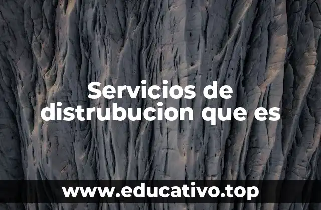 Servicios de distrubucion que es