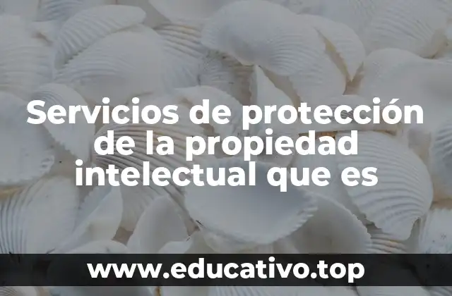 Servicios de protección de la propiedad intelectual que es