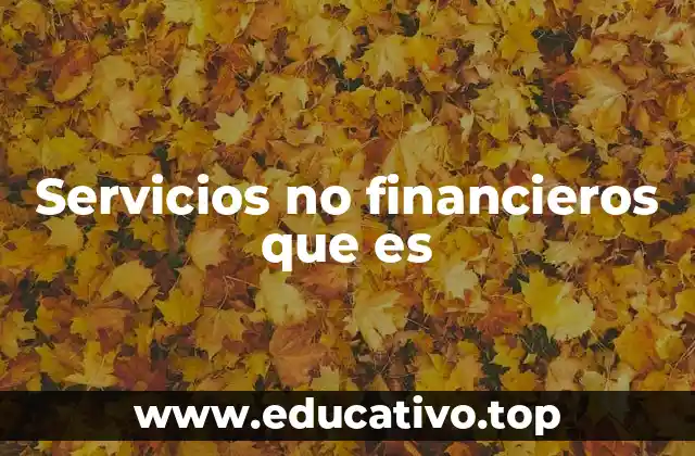 Servicios no financieros que es