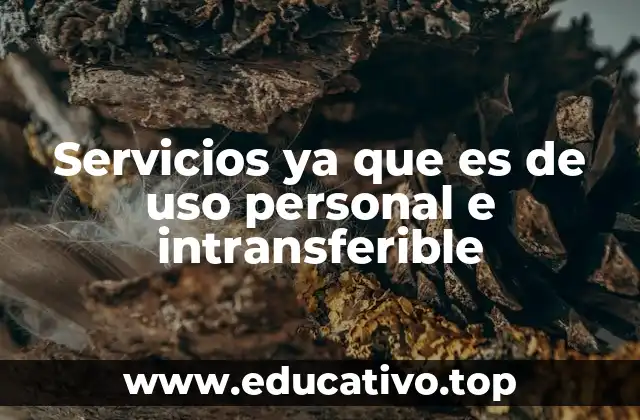 Servicios ya que es de uso personal e intransferible