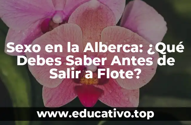 Sexo en la Alberca: ¿Qué Debes Saber Antes de Salir a Flote?