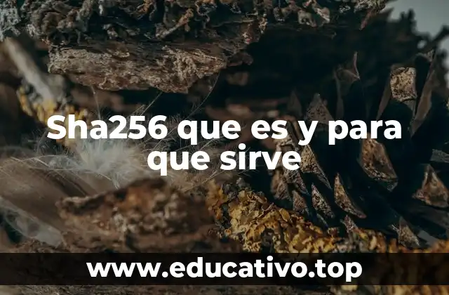 La relevancia de SHA-256 en la seguridad informática