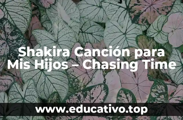 Shakira Canción para Mis Hijos – Chasing Time