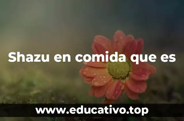 Shazu en comida que es