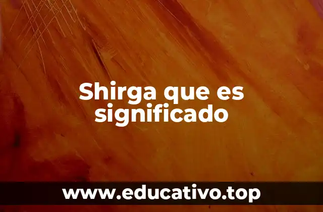 El uso de shirga en contextos técnicos o especializados