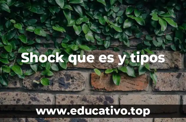 Shock que es y tipos