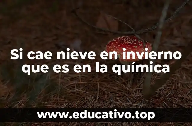 Si cae nieve en invierno que es en la química