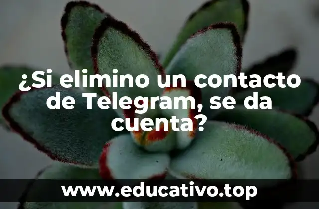 ¿Si elimino un contacto de Telegram, se da cuenta?