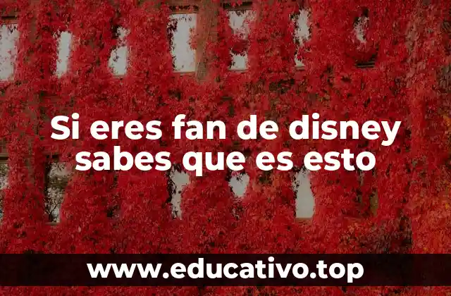 Si eres fan de disney sabes que es esto