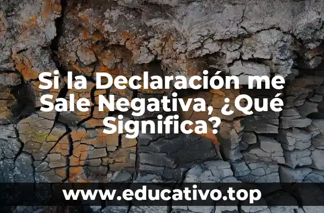 Si la Declaración me Sale Negativa, ¿Qué Significa?