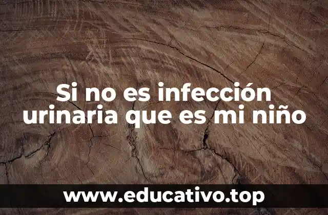 Si no es infección urinaria que es mi niño