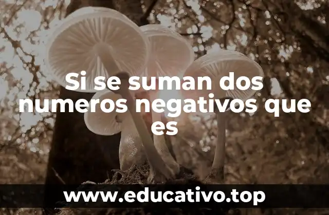Si se suman dos numeros negativos que es