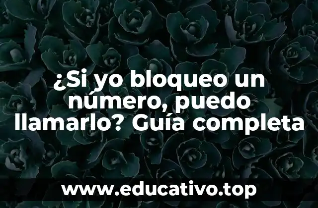 ¿Si yo bloqueo un número, puedo llamarlo? Guía completa