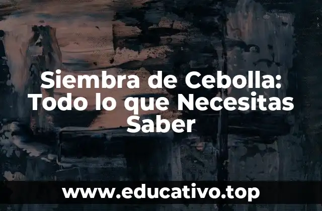 Siembra de Cebolla: Todo lo que Necesitas Saber