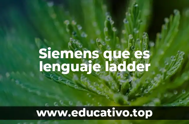 Siemens que es lenguaje ladder