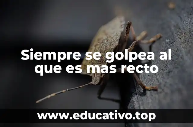 Siempre se golpea al que es mas recto