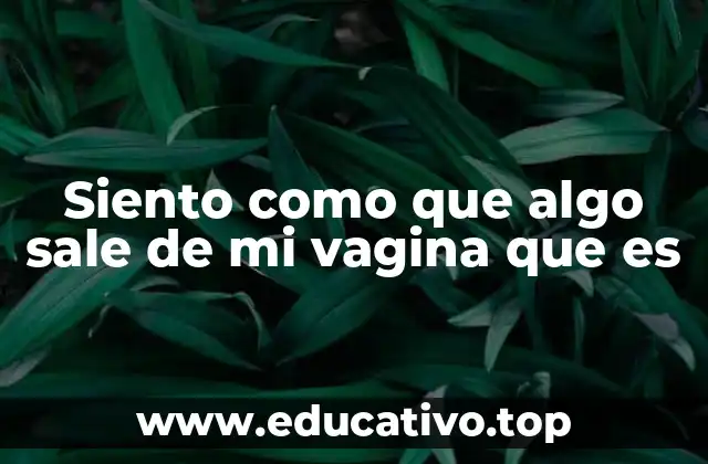 Siento como que algo sale de mi vagina que es