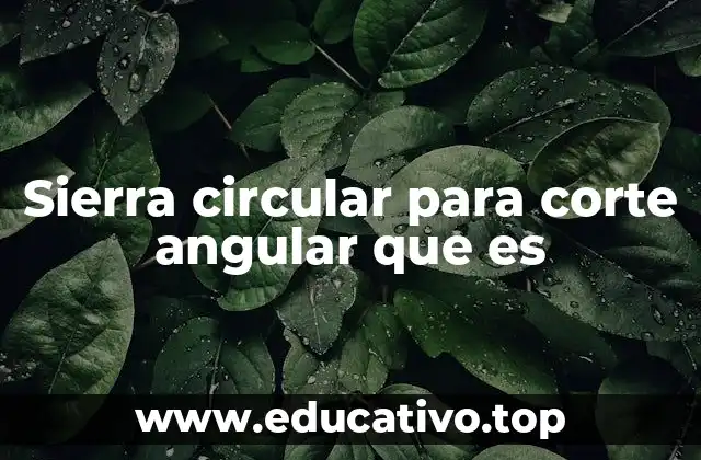 Sierra circular para corte angular que es