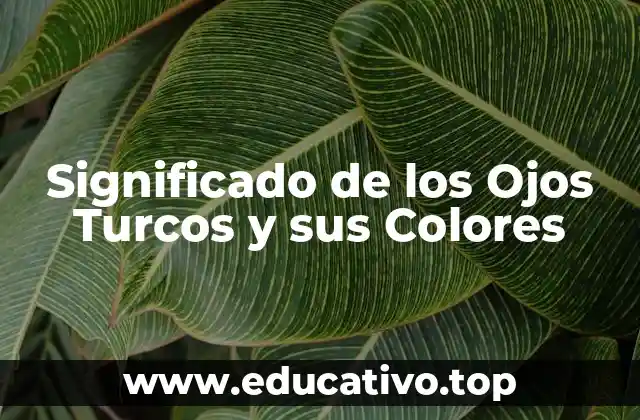 Significado de los Ojos Turcos y sus Colores