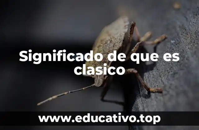 La importancia de lo clásico en la cultura moderna