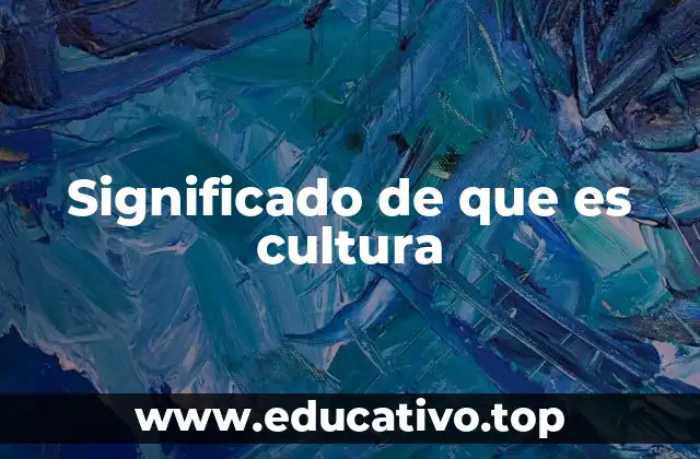 Significado de que es cultura