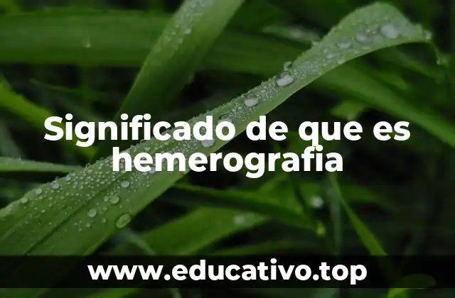 Significado de que es hemerografia