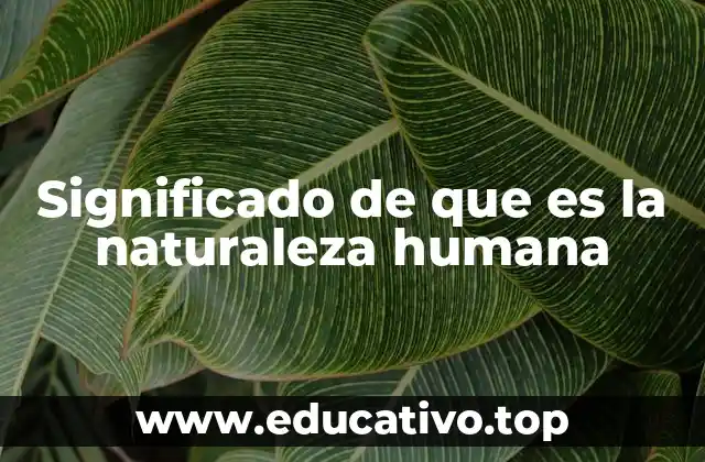 La base biológica y cultural de los seres humanos