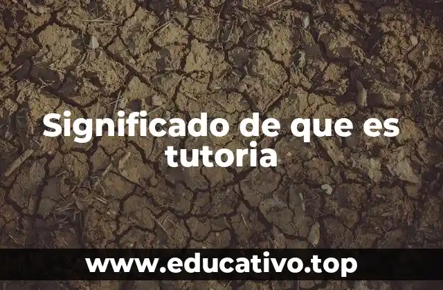 Significado de que es tutoria
