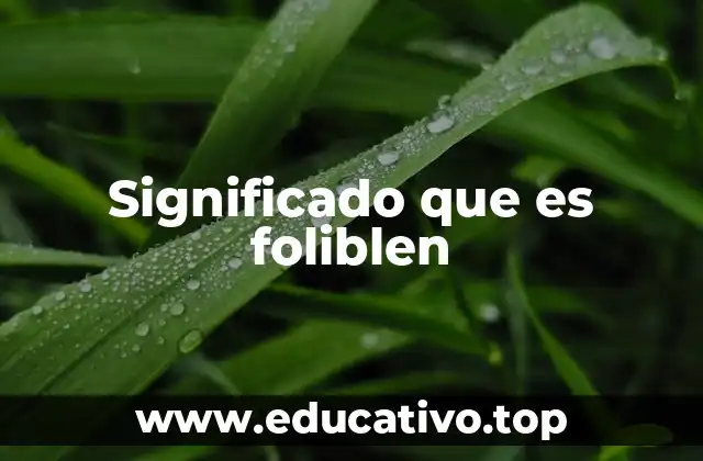 Significado que es foliblen
