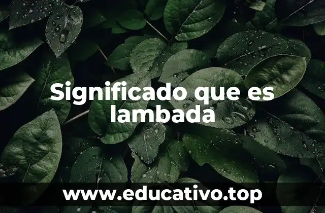Significado que es lambada