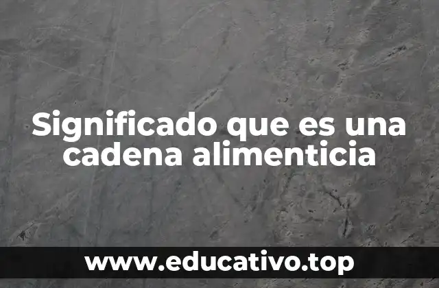Significado que es una cadena alimenticia