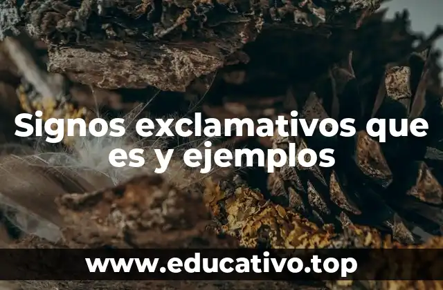 Signos exclamativos que es y ejemplos