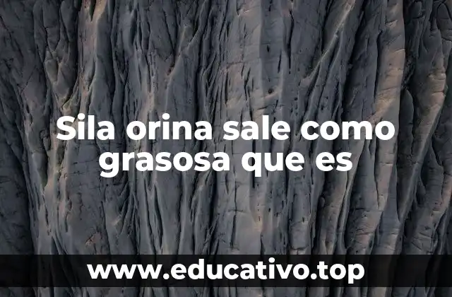 Sila orina sale como grasosa que es