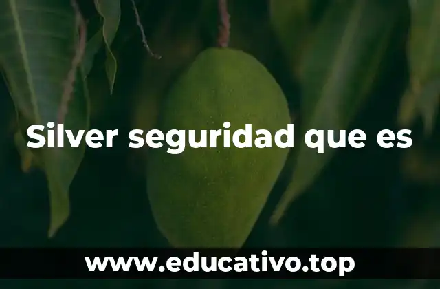 Silver seguridad que es