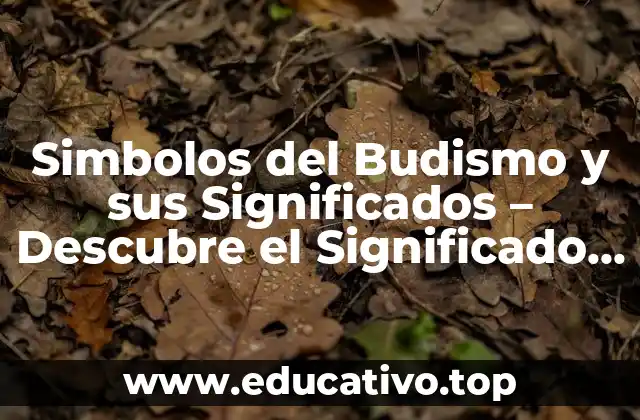Simbolos del Budismo y sus Significados – Descubre el Significado Detrás de los Símbolos Sagrados