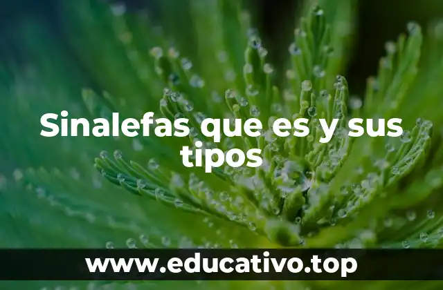 El fenómeno de unión fonética en la pronunciación