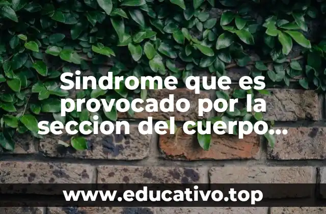 Sindrome que es provocado por la seccion del cuerpo calloso