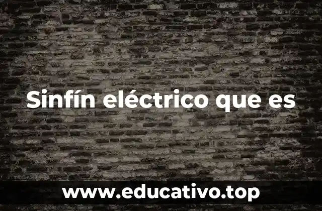 El funcionamiento del sinfín eléctrico y sus componentes