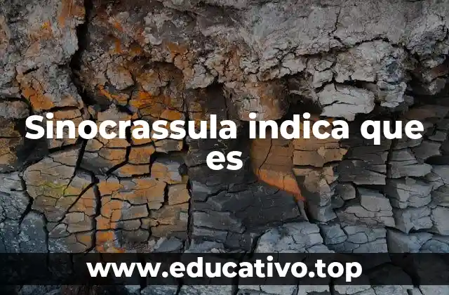 Sinocrassula indica que es