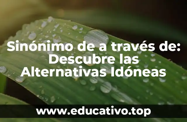 Sinónimo de a través de: Descubre las Alternativas Idóneas