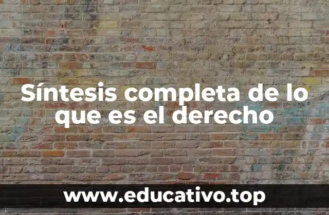 Síntesis completa de lo que es el derecho