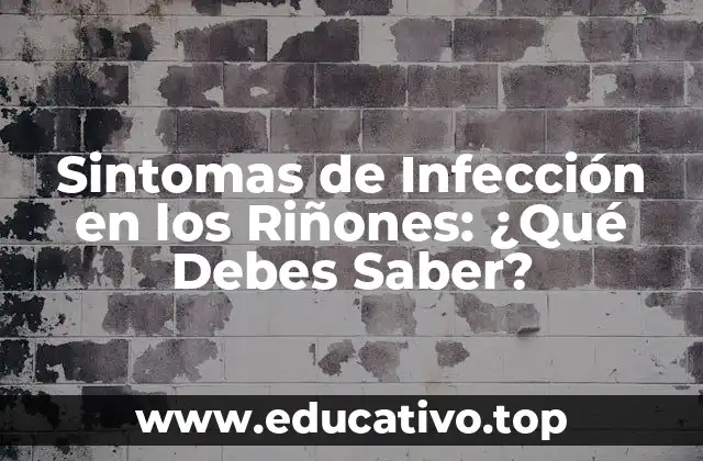 Sintomas de Infección en los Riñones: ¿Qué Debes Saber?