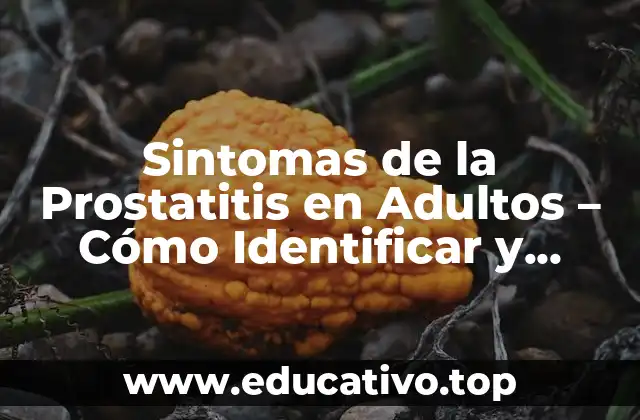 Sintomas de la Prostatitis en Adultos – Cómo Identificar y Tratar