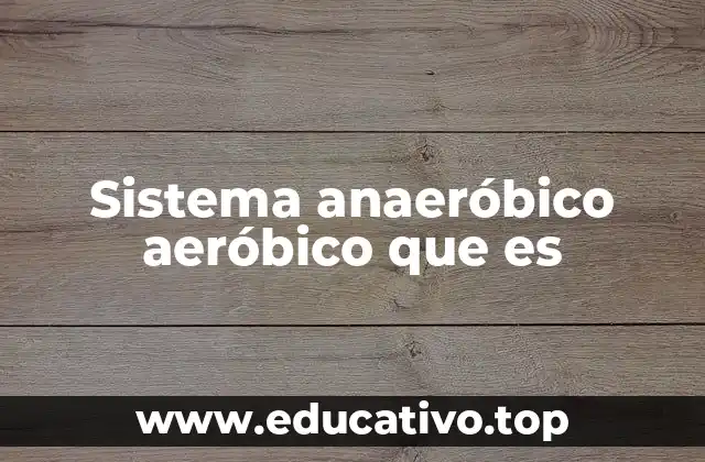 Sistema anaeróbico aeróbico que es