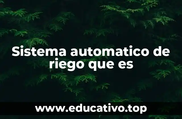 Sistema automatico de riego que es