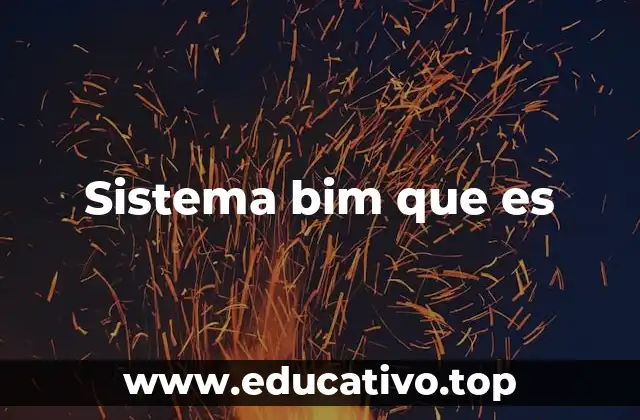 Sistema bim que es