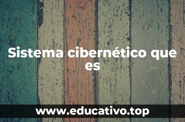 Sistema cibernético que es