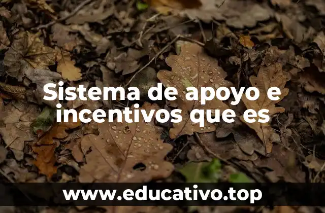 Sistema de apoyo e incentivos que es