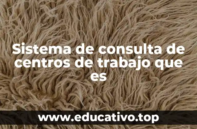 Sistema de consulta de centros de trabajo que es