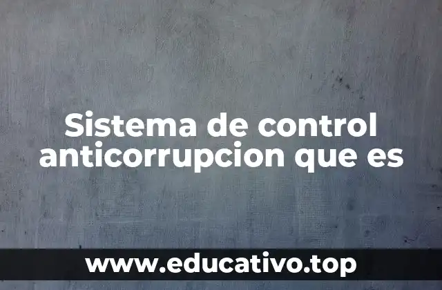 Sistema de control anticorrupcion que es